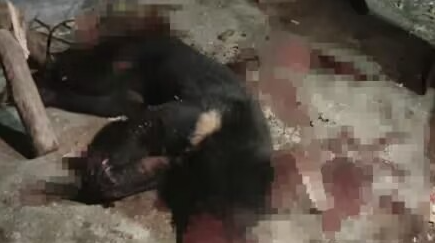 热点生活 第89页