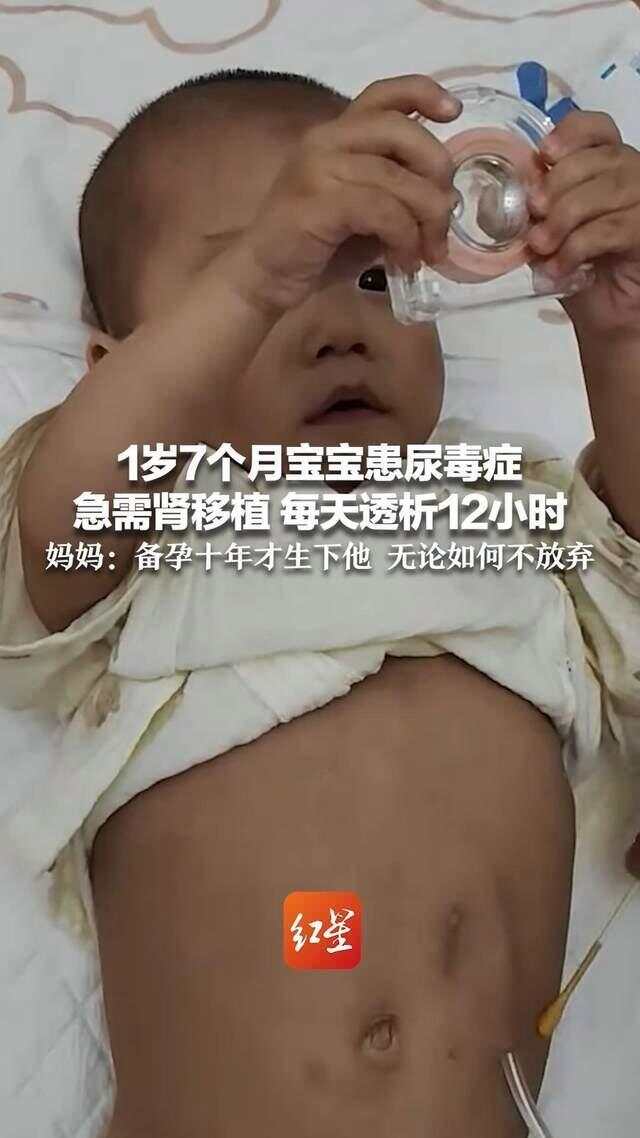 最新资讯 第56页